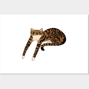 Long Brown Tabby Cat Posters and Art